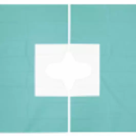 Foliodrape® Protect variálható, kétrétegű, ragasztós szélű, lyukas lepedő, (45x75 cm; 65 db)