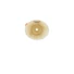 Dansac NovaLife 2 Convex 1936-10 alaplap (36 mm, 1 db)